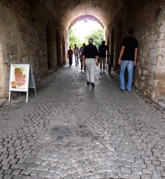 P1000729.JPG