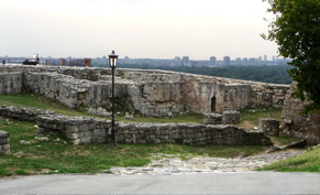 P1000731.JPG
