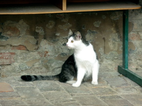 P1000925.JPG