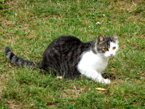 P1000936.JPG