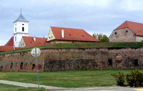 P1000966.JPG