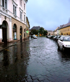 P1010106.JPG