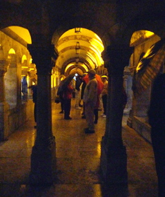 P1010129.JPG