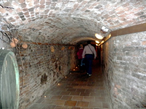 P1010200.JPG