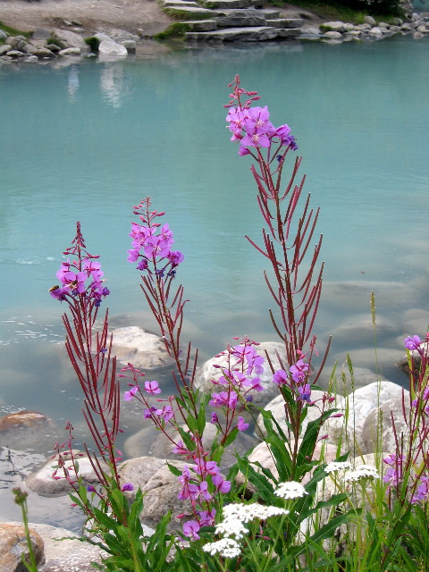 Lake Louise