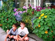 Natan, Aron, Jasper, Canada