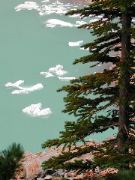 Edith Cavell Mtn