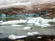 Edith Cavell Mtn glacier