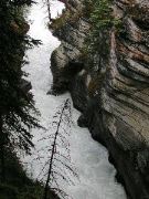 Sunwapta Falls, Jasper