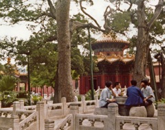 P1050103