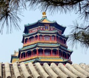 P1020653