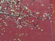 P1020753