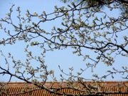 P1020753
