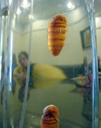 P1030345