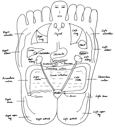 FootMap2
