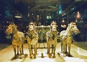 Horse1