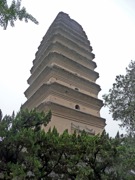 P1040434.JPG