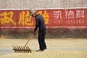 raking-9579-thumb