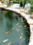 P1050004