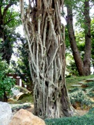 P1050007