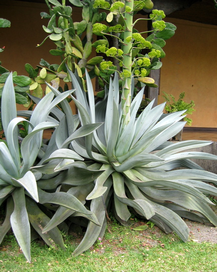 STA_4804.JPG