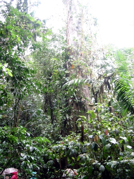 IMG_4970.JPG