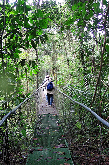 Canopy walk 2--La Tirimbina