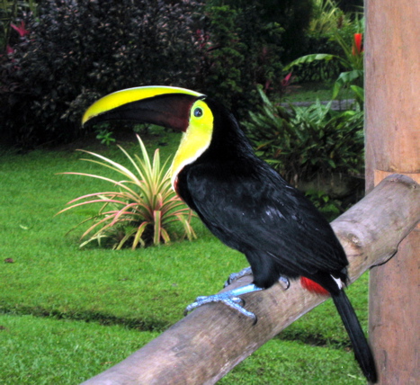 IMG_4997.JPG