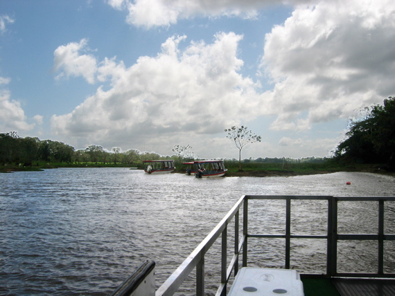 IMG_5114.JPG