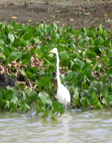 IMG_5115.JPG