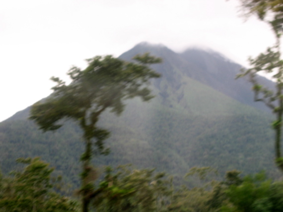 IMG_5176.JPG