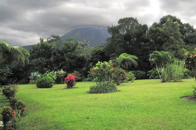 Volcano Lodge garden 1