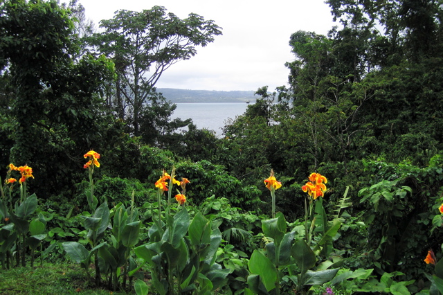 Lake Arenal