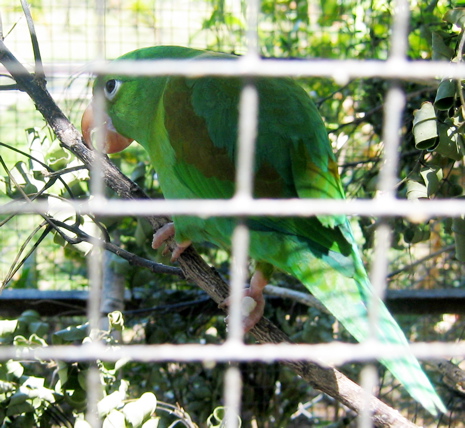 IMG_5210.JPG