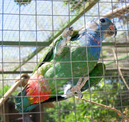 IMG_5215.JPG