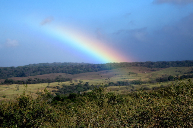 Buena Vista rainbow 2