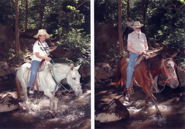 Horseback, M&A