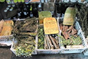 herbal medicines