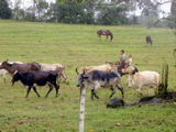 IMG_4928.JPG
