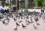 IMG_4811.JPG