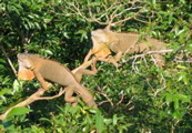 IMG_5112.JPG