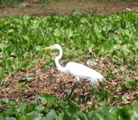 IMG_5116.JPG
