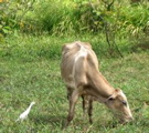 IMG_5119.JPG