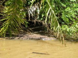 IMG_5128.JPG
