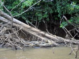 IMG_5133.JPG