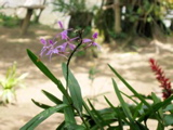 IMG_5146.JPG