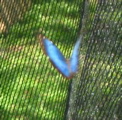 IMG_5162.JPG
