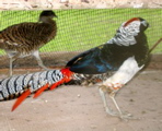 IMG_5165.JPG