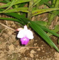 IMG_5185.JPG