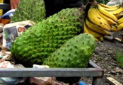 Guanabana (breadfruit)